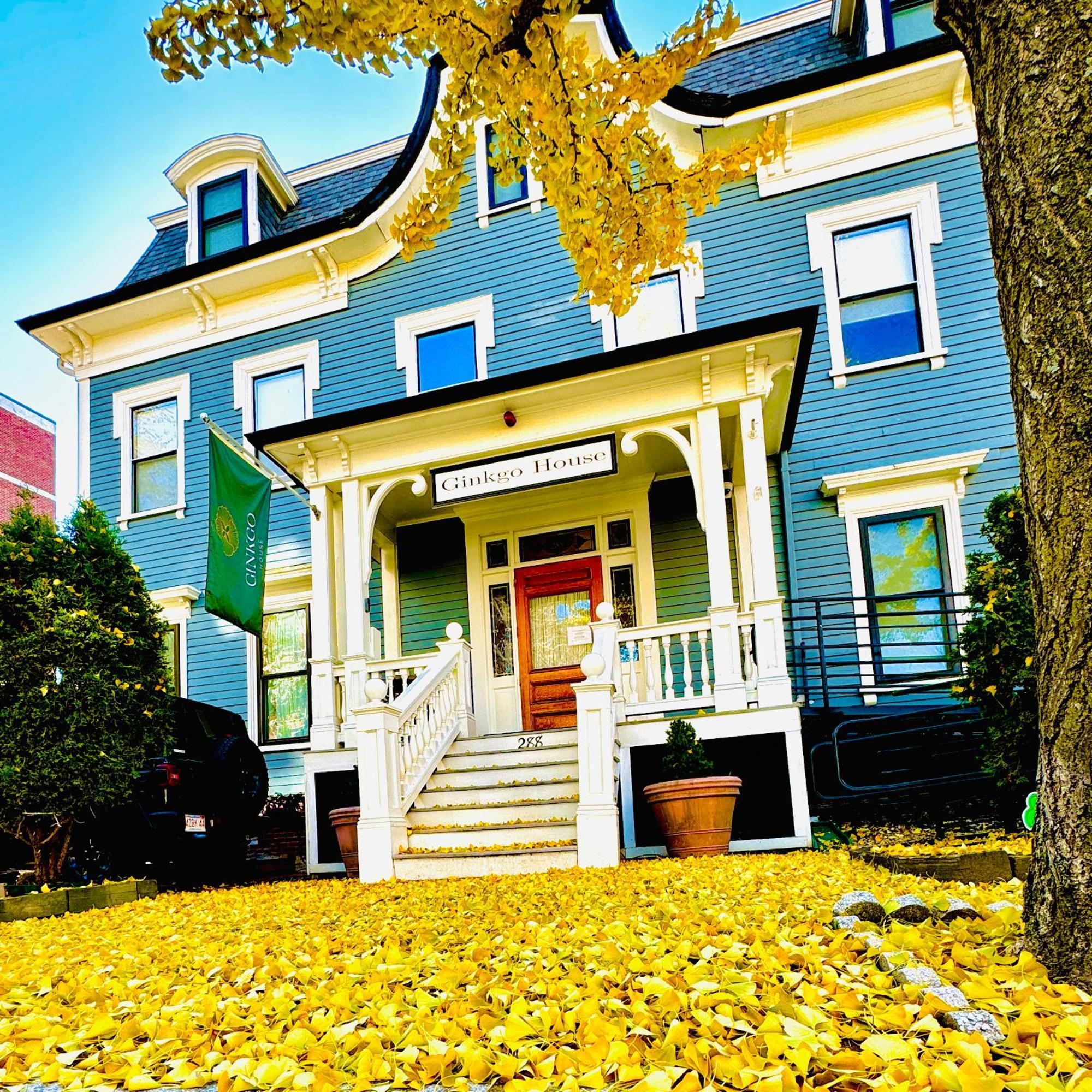 Ginkgo House On Harvard Cambridge Exteriér fotografie
